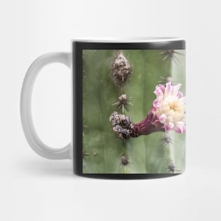 Cactus flower Mug